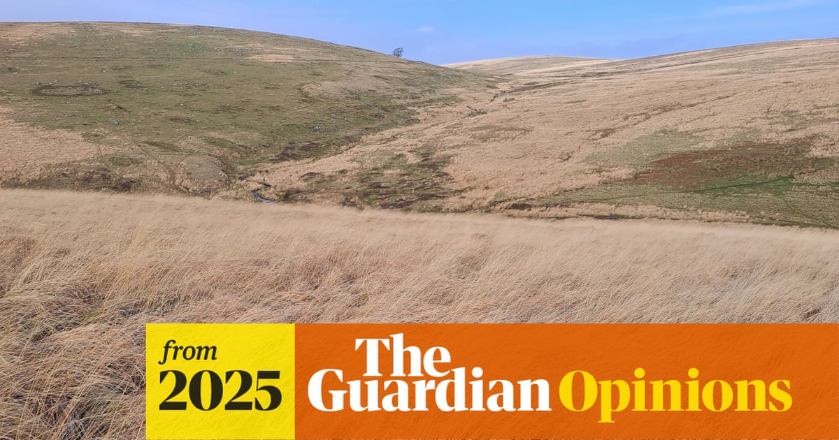 There’s an invader turning huge swathes of Britain into deserts – and these dead zones are spreading | George Monbiot