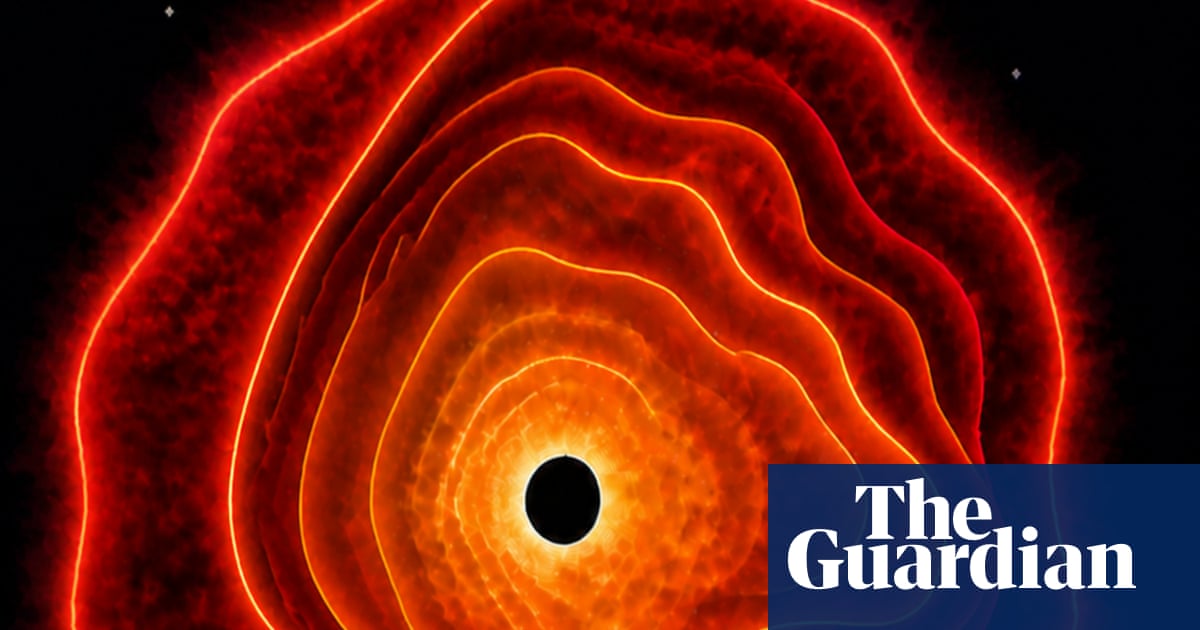 Astronomers discover a new kind of cosmic object – a black hole star