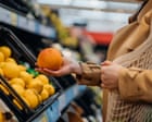Electricity, insurance and eggs: see how has life in Australia got more expensive
