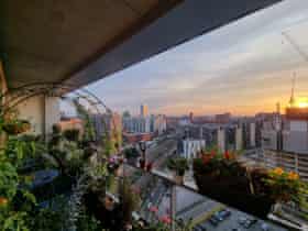 Jason Williams’s balcony garden.