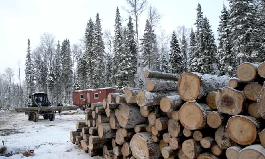 Timber cutting and processing in Omsk, Russia.