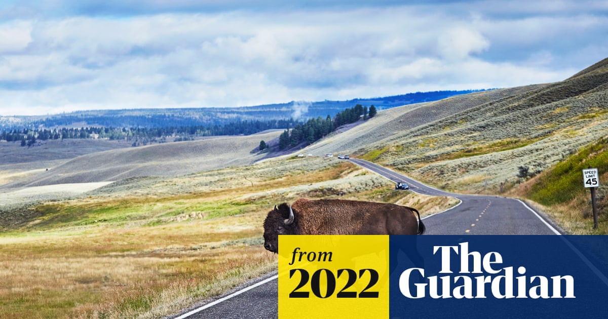 Yellowstone national park pass on offer that won’t work until 2172