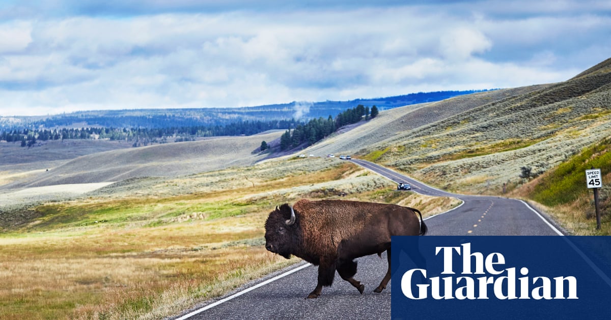 Yellowstone national park pass on offer – that won’t work until 2172