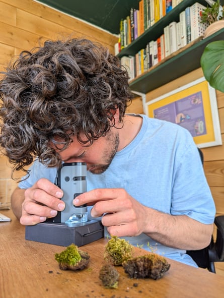 Alex Riley examining moss samples under the microscope.