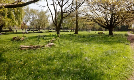 Haggerston Park, east London: urban green spaces were Rosie Kinchen’s salvation
