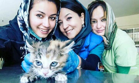 Kabul veterinary surgeons Drs Malalai Haikal, Tahera Rezaei and Maliha Rezayi from Nowzad Conrad Lewis Clinic