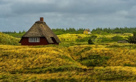 Thatched house on grassy shore