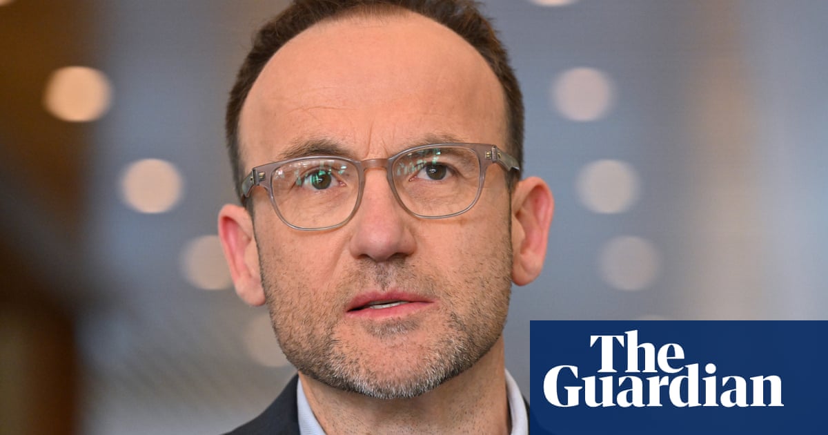 'Pushing isn't always pretty': Adam Bandt on why the Greens blocked Labor's agenda until last sitting day of the year