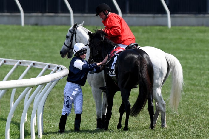 How To Play Horse Race Drinking Game How To Play Horse Race Drinking Game