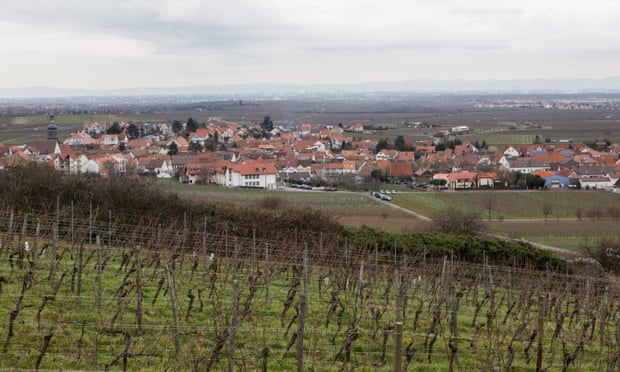 Kallstadt vineyards.
