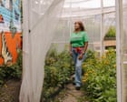 As monarch butterflies migrate for the fall, meet the Chicago woman trying to protect them