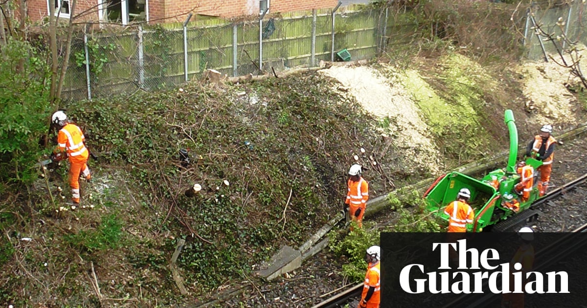 Share your experiences of tree cutting by railway lines near you | Environment | The Guardian