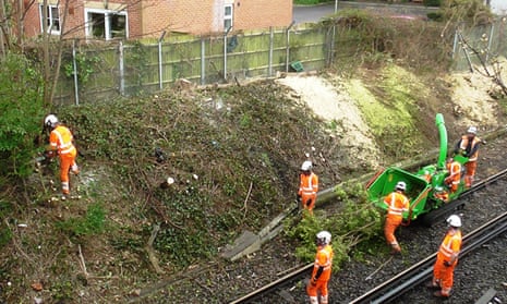 Tree felling by Network Rail
