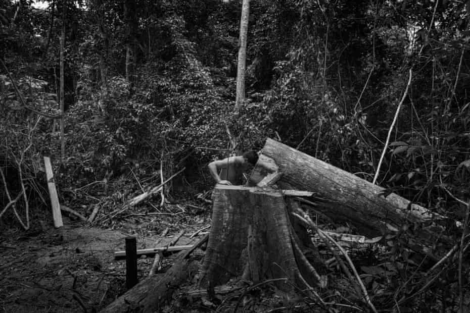 Amazonia Life And Death In The Brazilian Rainforest Amazon Rainforest The Guardian Amazonia Life And Death In The Brazilian Rainforest Amazon Rainforest The Guardian