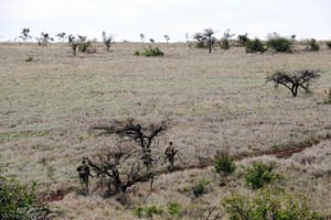 Park rangers walk in the bush during a day patrol at the Lewa Wildlife Conservancy.