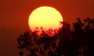 Australia weather forecast: NSW has been placed under a total fire ban from midnight Tuesday to midnight Saturday as Australia is hit by a heatwave that will see temperatures nudge 50C in some areas and 45C in western Sydney.