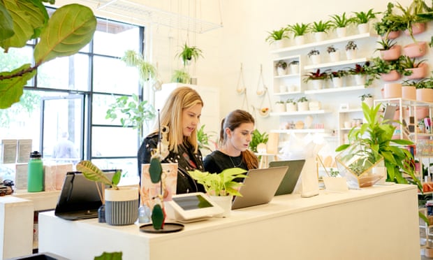 Two person working in the houseplant reception on a nice decorated business