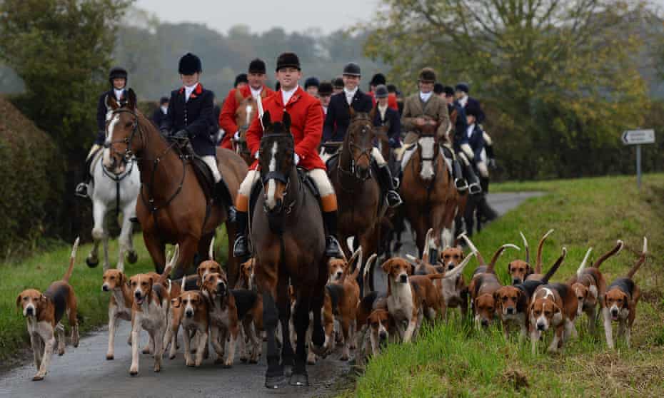 Theresa May Set To Abandon Free Vote Pledge On Foxhunting Ban Hunting The Guardian