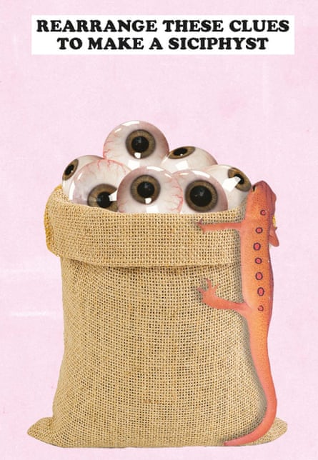 Pages from Say What Ewe Sea puzzle 99