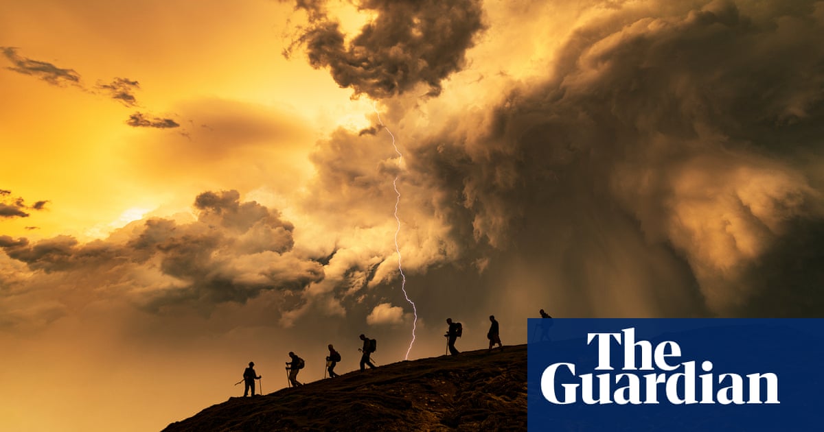 What to see on a winter walk: an experts’ guide to spotting birds, fungi and fossils - The Guardian