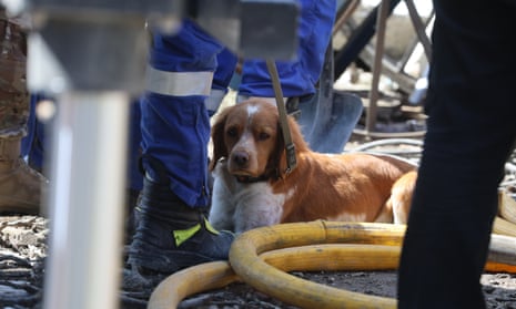 A search-and-rescue dog lies in the shadow of rescuers during search and rescue operation on April 28, 2023 in Uman, Ukraine. (Photo by Yevhenii Zavhorodnii/Global Images Ukraine via Getty Images)