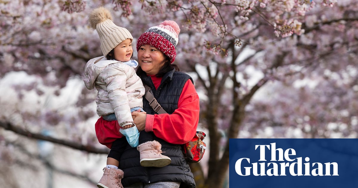 Contact with nature in cities reduces loneliness, study shows