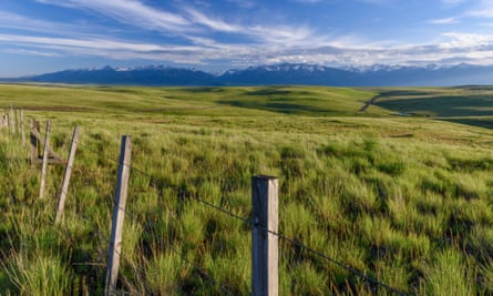 Ancient grasslands store enormous amounts of carbon and stabilize the soil.