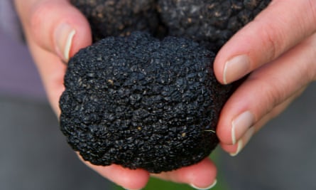 English black truffles