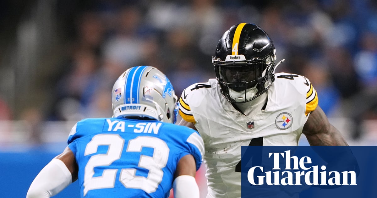 Steelers’ DK Metcalf throws punch at Lions fan in front row during altercation