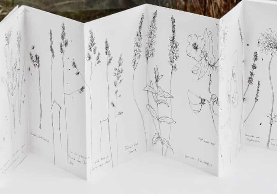 Country Diary My Zigzag Catalogue Of The Changing Seasons Drawing The Guardian