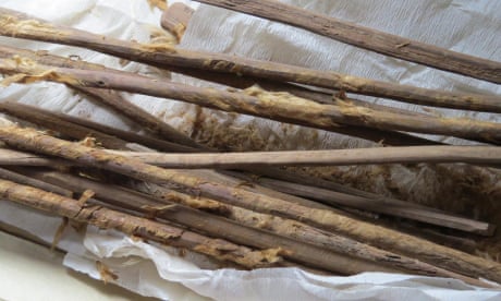 Ancient bottom wipers yield evidence of diseases carried along the Silk Road