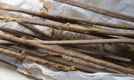 2000-year-old personal hygiene sticks with remains of cloth, excavated from the latrine at Xuanquanzhi.