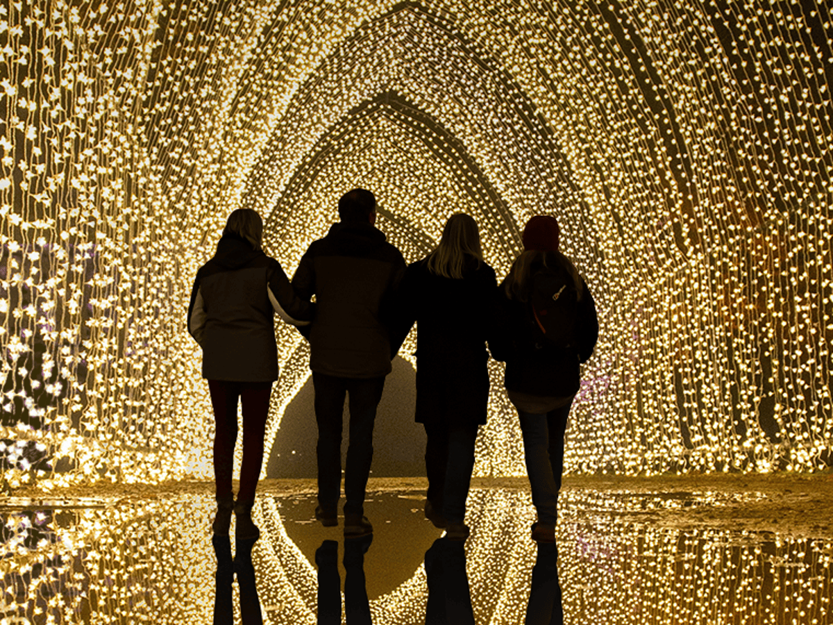 Enchant christmas light maze coupon code
