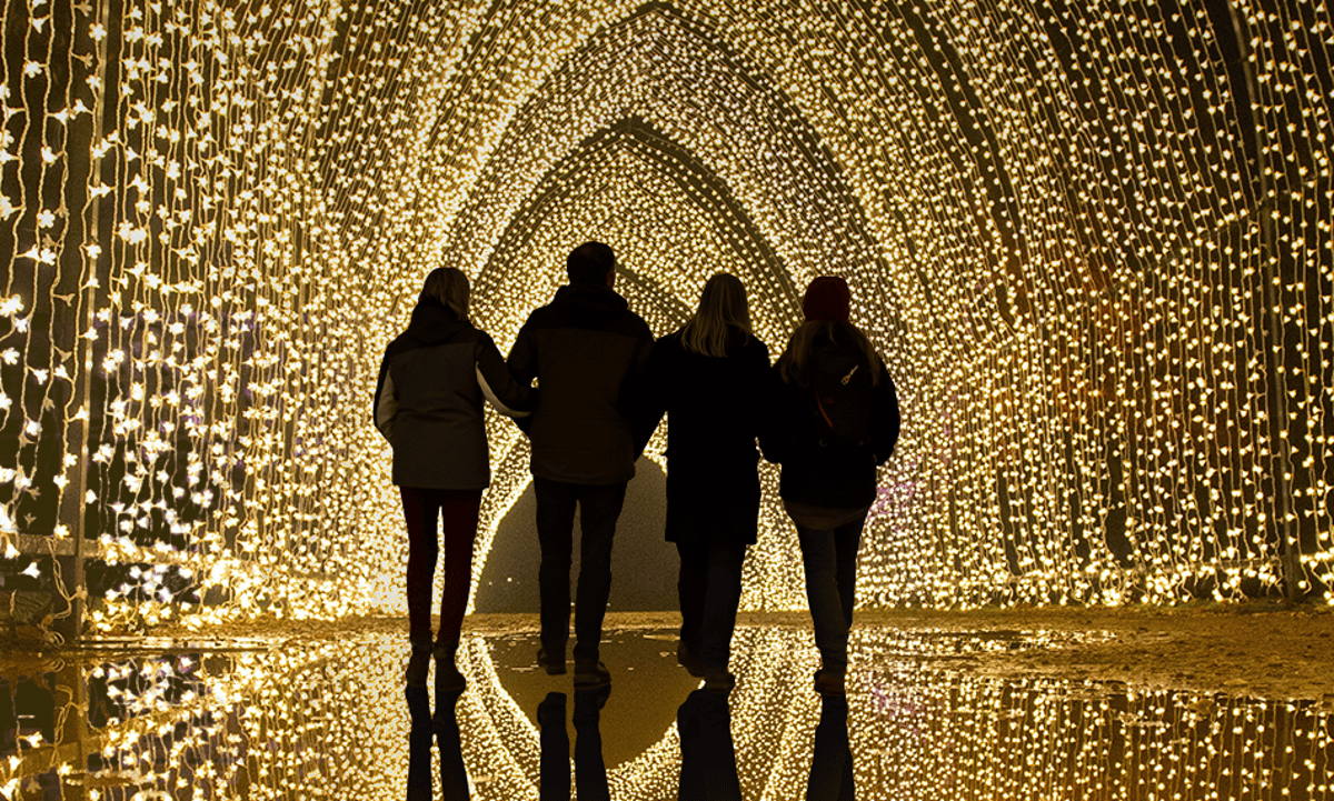 Whitestone allevents Place With Christmas Lights Near Me - Merry Christmas 2021