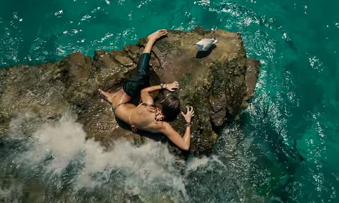 The Shallows Review Deep Breath Blake Lively Shark Fighting Thriller Is Superb Thrillers The Guardian The Shallows Review Deep Breath Blake Lively Shark Fighting Thriller Is Superb Thrillers The Guardian