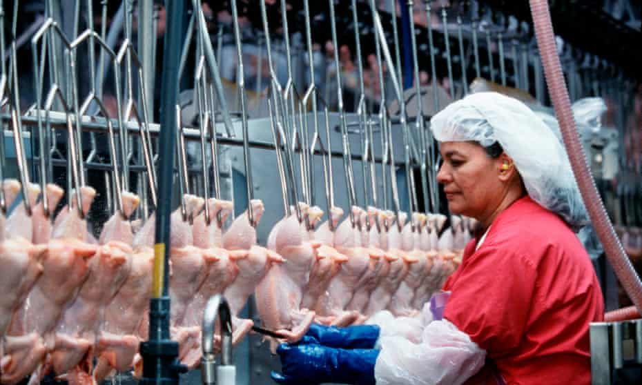 Tyson Foods employees in Springdale, Arkansas. For some critical observers, the crisis in America’s huge industrial meat production sector came as no real surprise.