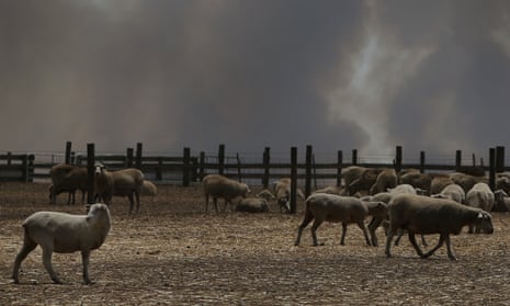 Bushfire smoke over a sheep property on Kangaroo Island