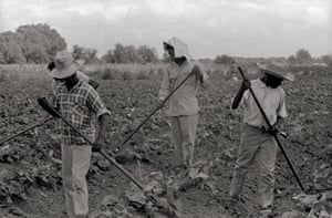 Grand Marie Farmers Cooperative, Lafayette, Louisiana, 1969