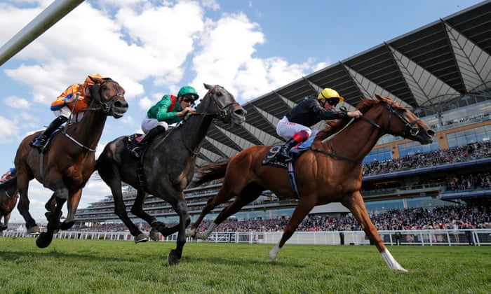 4 Bilder 1 Wort Pferderennen Jockey Test 4 Bilder 1 Wort Pferderennen Jockey Test