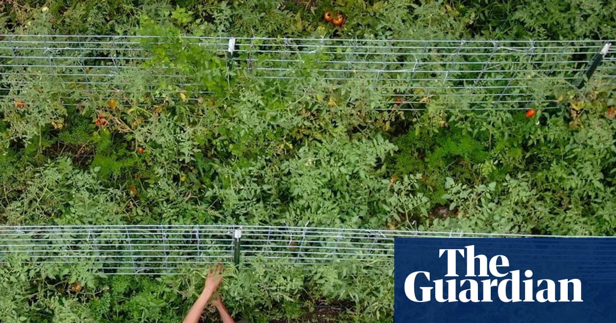 Trump unveils $12bn aid package for US farmers amid tariff fallout