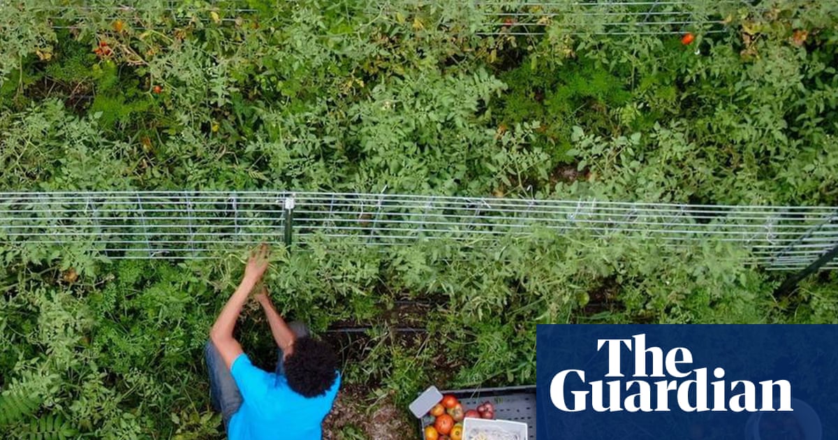 Trump tariffs to hit small farms in Maga heartlands hardest, analysis predicts | Trump tariffs | The Guardian