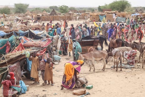 Sudanese refugees, along with their livestock, crossing into Chad, 30 April 2023.