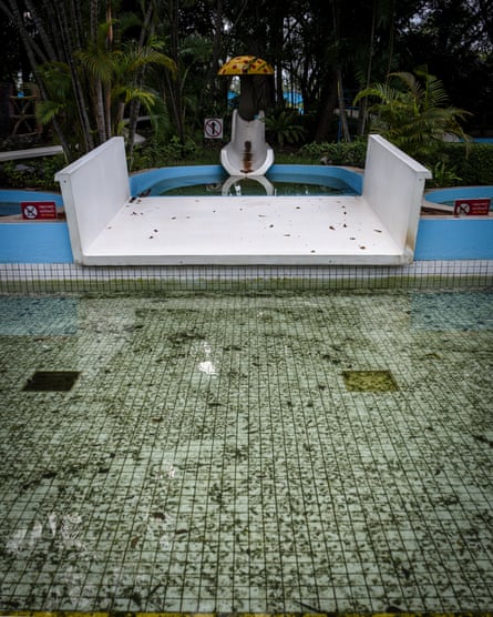 Green algae in the water in a swimming pool.