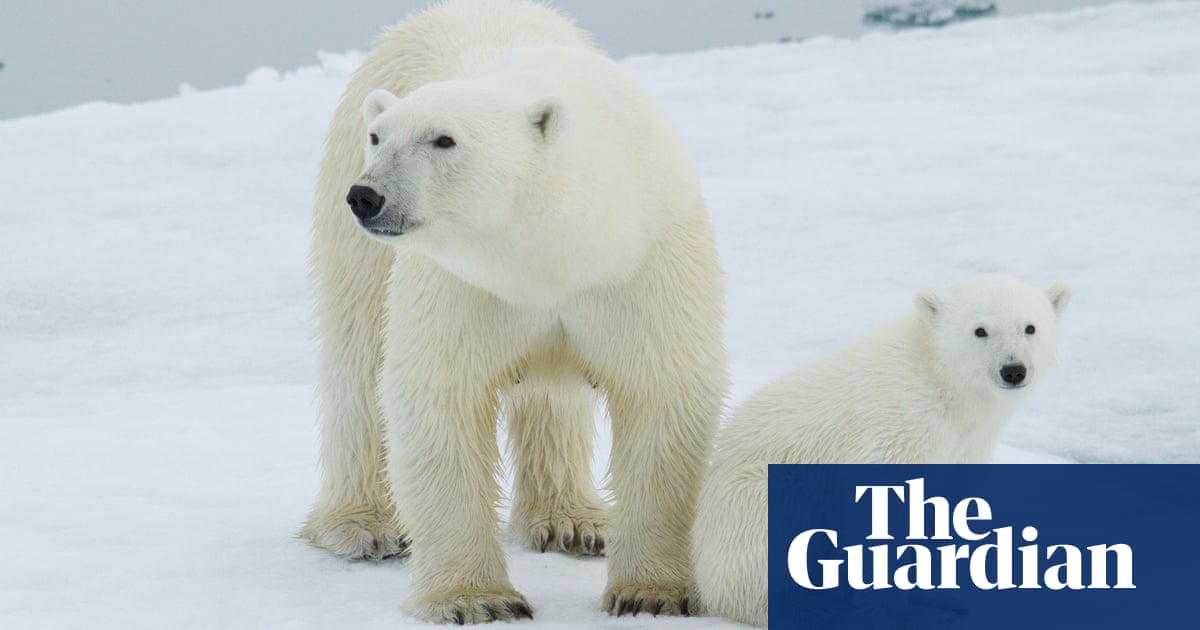 How a hi-tech search for Genghis Khan is helping polar bears