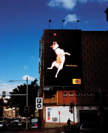 In Sydney, a huge billboard shows a dog leaping toward a red ball, reading “We’re for dogs.”