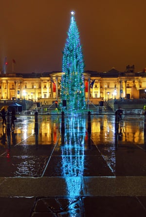 The tree in Trafalgar Square, London was reflected on the rainy pavement