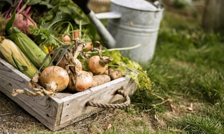 A box of vegetables