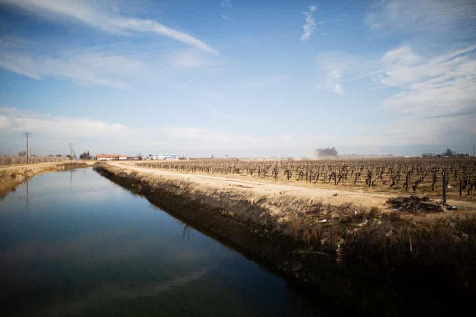A canal running in between agricultural fields in Del Rey, California, 21 February 2020.