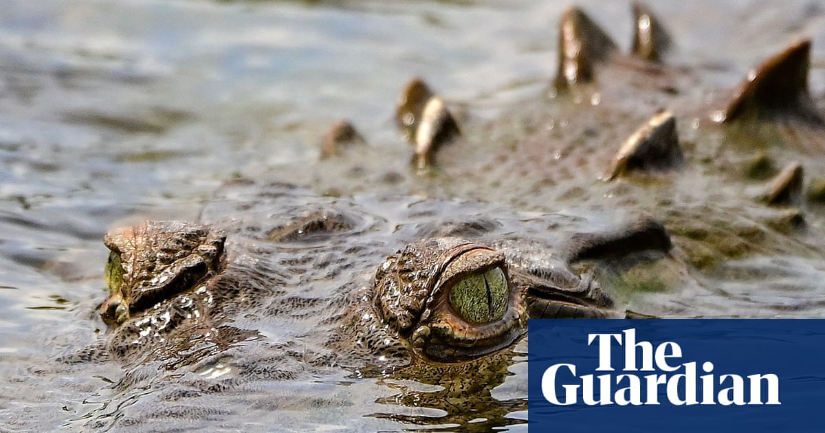 scientists-record-first-known-virgin-birth-in-female-crocodile-in-costa-rica