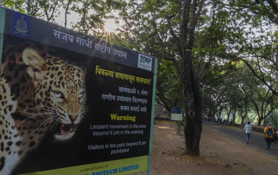 A sign in Sanjay Gandhi national park in Marathi and English warns park goers against visiting the park after 6pm because of the risk of roaming leopards.